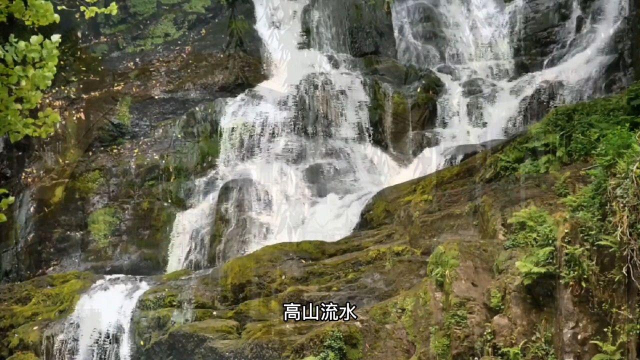 泡沫森林