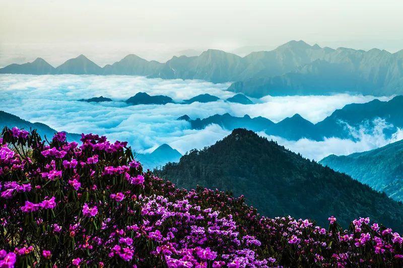《繁花》里玲子说的这道菜，在家也能做！现在学，过年吃！